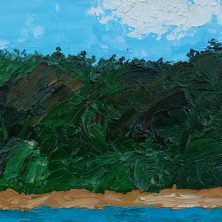 Буш. Западное побережье Южного острова. Новая Зеландия.